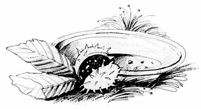 pie-4