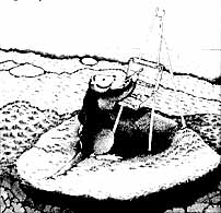 moon-7b